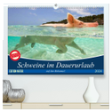 Schweine im Dauerurlaub auf den Bahamas! (hochwertiger Premium Wandkalender 2024 DIN A2 quer), Kunstdruck in Hochglanz
