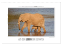 Emotionale Momente: Aus dem Leben der Elefanten. (Wandkalender 2024 DIN A3 quer), CALVENDO Monatskalender