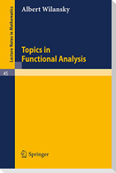 Topics in Functional Analysis