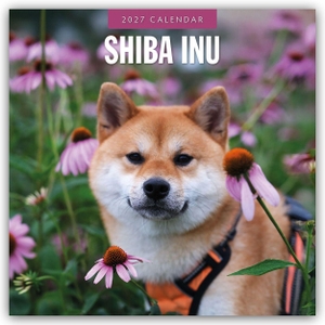Red, Robin. Shiba Inu 2027 - 16-Monatskalender - Original Red Robin Publishing Ltd-Kalender [Mehrsprachig] [Kalender]. Browntrout Verlags GmbH, 2026.