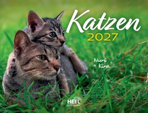 Katzen 2027 Eintragkalender - Tierkalender mit den charmanten Namen. Edition Lempertz, 2026.