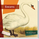 Swans