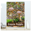 Heimische Waldpilze (hochwertiger Premium Wandkalender 2024 DIN A2 hoch), Kunstdruck in Hochglanz