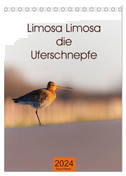 Limosa Limosa die Uferschnepfe (Tischkalender 2024 DIN A5 hoch), CALVENDO Monatskalender