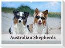 Wunderbare Australian Shepherds (Wandkalender 2025 DIN A2 quer), CALVENDO Monatskalender