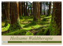 Heilsame Waldtherapie - Waldbaden nach Shinrin Yoku (Wandkalender 2024 DIN A3 quer), CALVENDO Monatskalender