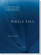 Whale Fall