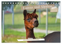 Lamas und Alpakas - südamerikanische Schönheiten (Tischkalender 2024 DIN A5 quer), CALVENDO Monatskalender