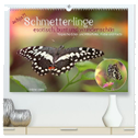 achja?! Schmetterlinge, exotisch, bunt und wunderschön (hochwertiger Premium Wandkalender 2024 DIN A2 quer), Kunstdruck in Hochglanz