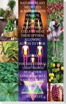 NATURAL PLANT MEDICINES & POTIONS WITH MAGICAL HEALING PROPRTIES
