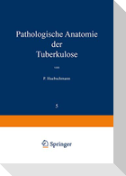 Pathologische Anatomie der Tuberkulose
