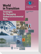 Strategies for Managing Global Environmental Risks