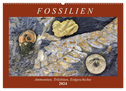 Fossilien - Ammoniten, Trilobiten, Erdgeschichte (Wandkalender 2024 DIN A2 quer), CALVENDO Monatskalender