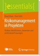 Risikomanagement in Projekten