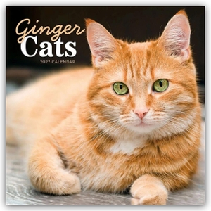 Carousel Calendar. Ginger Cats - Rothaarige Katzen 2027 - Wand-Kalender - Original Carousel-Kalender [Mehrsprachig] [Kalender]. Browntrout Verlags GmbH, 2026.