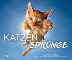 Casteel, Seth. Katzensprünge. riva Verlag, 2020.