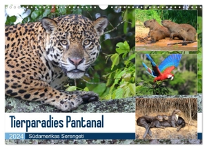 und Yvonne Herzog, Michael. Tierparadies Pantanal (Wandkalender 2024 DIN A3 quer), CALVENDO Monatskalender - Tierreichtum im Südwesten Brasiliens. Calvendo, 2023.