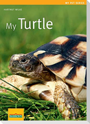 My Turtle