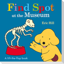 Find Spot at the Museum