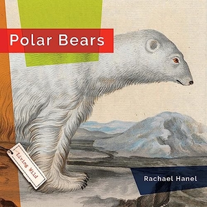 Hanel, Rachael. Polar Bears. Creative Company, 2023.