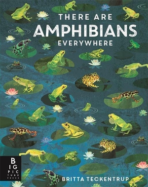 Bedoyere, Camilla De La. There Are Amphibians Everywhere. Bonnier Books Ltd, 2026.
