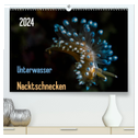 Unterwasser - Nacktschnecken 2024 (hochwertiger Premium Wandkalender 2024 DIN A2 quer), Kunstdruck in Hochglanz