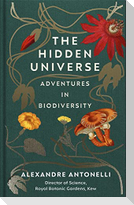 The Hidden Universe