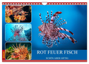 Rot Feuer Fisch (Wandkalender 2024 DIN A4 quer), CALVENDO Monatskalender