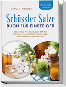 Schüssler Salze Buch für Einsteiger: Die richtige Anwendung der 27 Salze individuell und leicht für mehr Energie, Gesundheit und Wohlbefinden - Schritt für Schritt von der Theorie bis zur Praxis