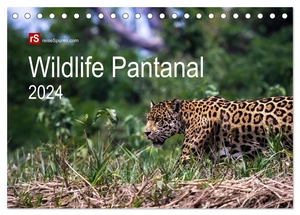 Bergwitz, Uwe. Wildlife Pantanal 2024 (Tischkalender 2024 DIN A5 quer), CALVENDO Monatskalender - Im Reich des Jaguar - einzigartige Wildtiere des brasilianischen Pantanals in schönen Bildern eingefangen. Calvendo Verlag, 2023.