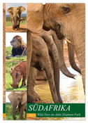 SÜDAFRIKA Wild-Tiere im Addo Elephant Park (Wandkalender 2025 DIN A2 hoch), CALVENDO Monatskalender