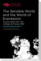 The Sensible World and the World of Expression