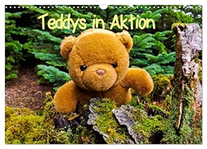 Sigwarth, Karin. Teddys in Aktion (Wandkalender 2024 DIN A3 quer), CALVENDO Monatskalender - Teddybären erobern den Wald.. Calvendo Verlag, 2023.