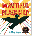 Beautiful Blackbird