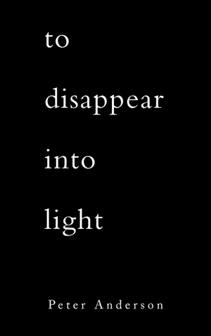 Anderson, Peter. to disappear into light. AuthorHouse, 2026.