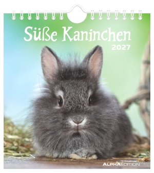 Süße Kaninchen 2027. ALPHA EDITION GmbH, 2026.