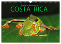 COSTA RICA - Tierische Momente (Wandkalender 2025 DIN A3 quer), CALVENDO Monatskalender