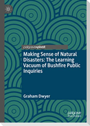 Making Sense of Natural Disasters