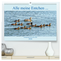 Alle meine Entchen ... Entenparadies Kurisches Haff (hochwertiger Premium Wandkalender 2024 DIN A2 quer), Kunstdruck in Hochglanz