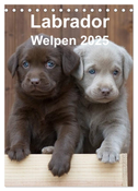 Labrador Welpen (Tischkalender 2025 DIN A5 hoch), CALVENDO Monatskalender