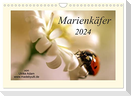 Marienkäfer / 2024 (Wandkalender 2024 DIN A4 quer), CALVENDO Monatskalender