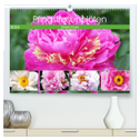 Pfingstrosenblüten (hochwertiger Premium Wandkalender 2024 DIN A2 quer), Kunstdruck in Hochglanz