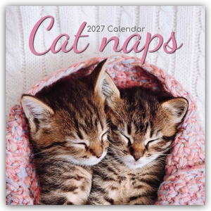 Gifted Stationery Co. Ltd. Cat Naps - Träumende Katzen 2027 - 16-Monatskalender - Original Gifted Stationery-Kalender [Mehrsprachig] [Kalender]. Browntrout Verlags GmbH, 2026.