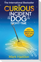 The Curious Incident of the Dog In the Night-time