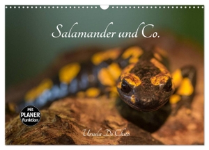 Di Chito, Ursula. Salamander und Co. (Wandkalender 2024 DIN A3 quer), CALVENDO Monatskalender - Salamander und andere Tiere in Feuchtgebieten. Calvendo Verlag, 2023.
