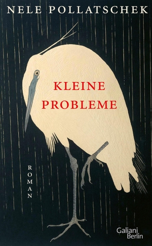 Pollatschek, Nele. Kleine Probleme - Roman. Galiani, Verlag, 2023.