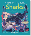 Sharks (a Day in the Life)