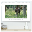 Emotionale Momente: Europäischer Elch. / CH-Version (hochwertiger Premium Wandkalender 2025 DIN A2 quer), Kunstdruck in Hochglanz