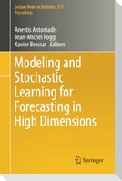 Modeling and Stochastic Learning for Forecasting in High Dimensions