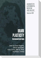 Brain Plasticity